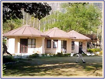 Corbett Ramganga, Corbett Hotels