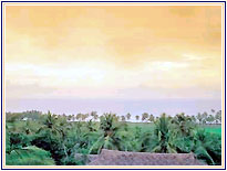 Taj Green Cove Resort Lobby, Kovalam Hotels