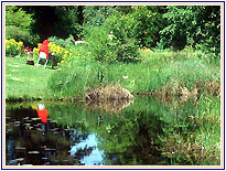 The Botanical Gardens, Ooty Place to See